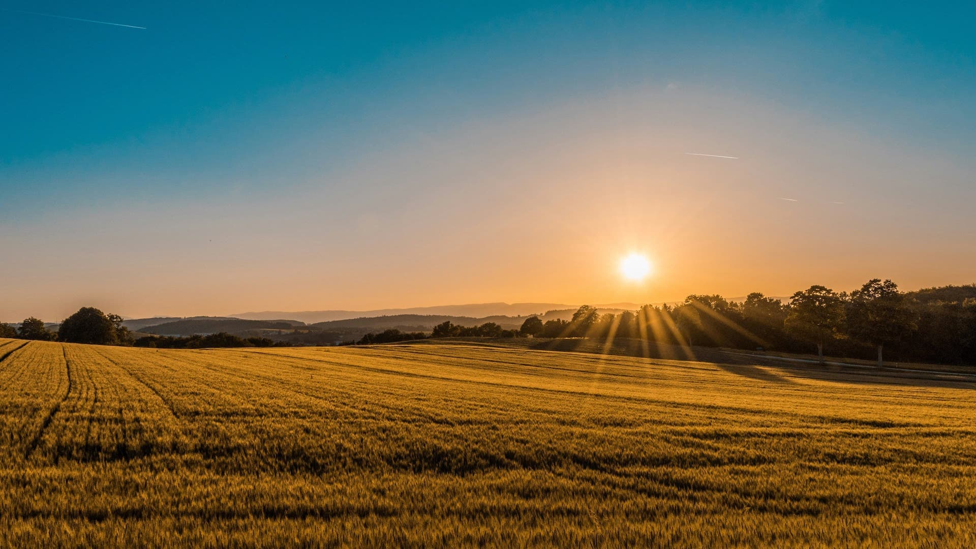 home page cover image