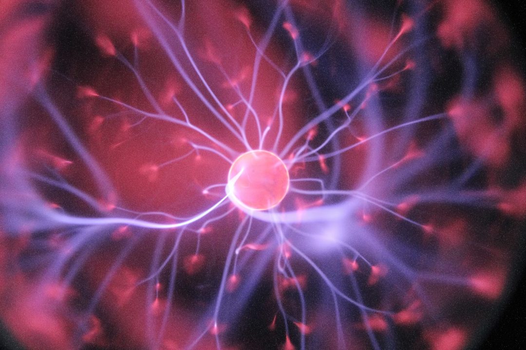 https://www.trustmf.com/trustmfsys/wp-content/uploads/2024/02/neuron.png